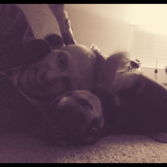 Meet your Posher, Barry - Picture 1 of 1